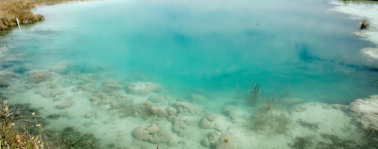 El Protocolo de Nagoya y la responsabilidad social en innovación en ciencias de la vida.