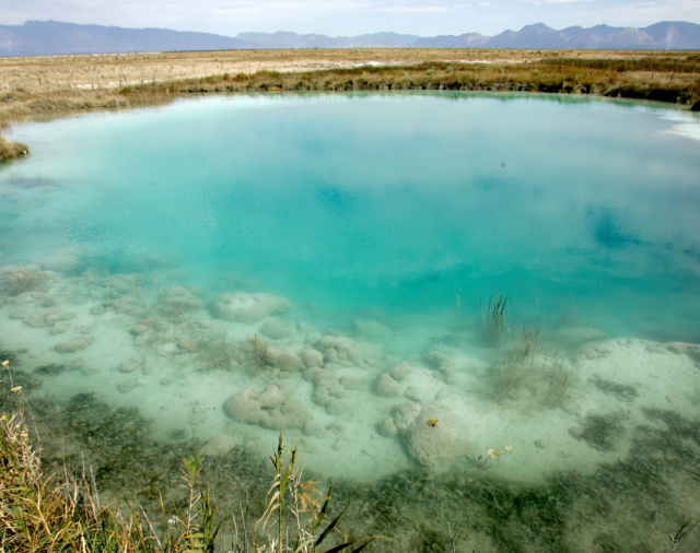 El Protocolo de Nagoya y la responsabilidad social en innovación en ciencias de la vida.